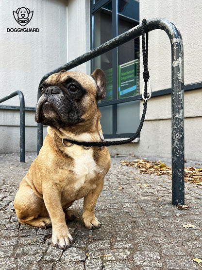 DOGGYGUARD® Anti-Diebstahl Hundeleine - Abschließbar, Schnittfest durch Stahlseil-Kern & Handgemacht