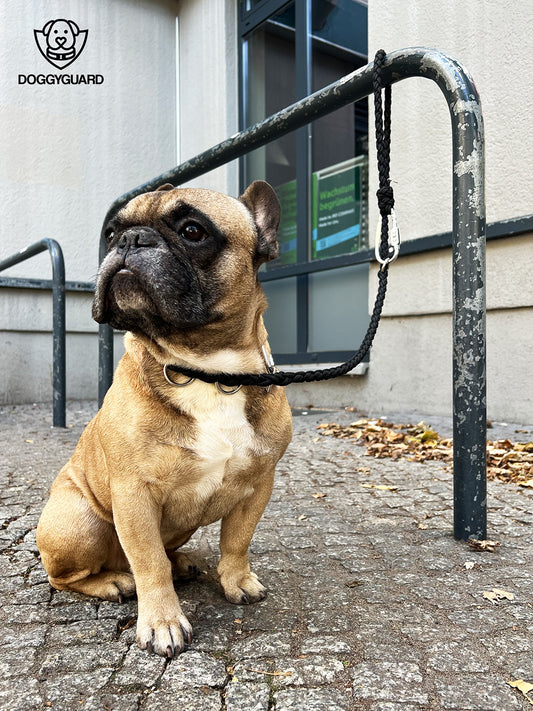 DOGGYGUARD® Anti-Diebstahl Hundeleine - Abschließbar, Schnittfest durch Stahlseil-Kern & Handgemacht