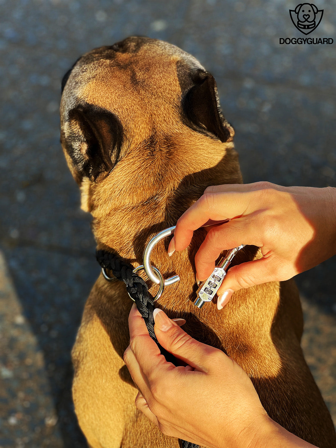 DOGGYGUARD® Anti-Diebstahl Hundeleine - Abschließbar, Schnittfest durch Stahlseil-Kern & Handgemacht