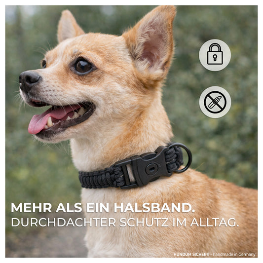 HUNDUM SICHER® Anti-Diebstahl-Halsband - abschließbar & mit Stahlkern - ideal für kleine Hunde