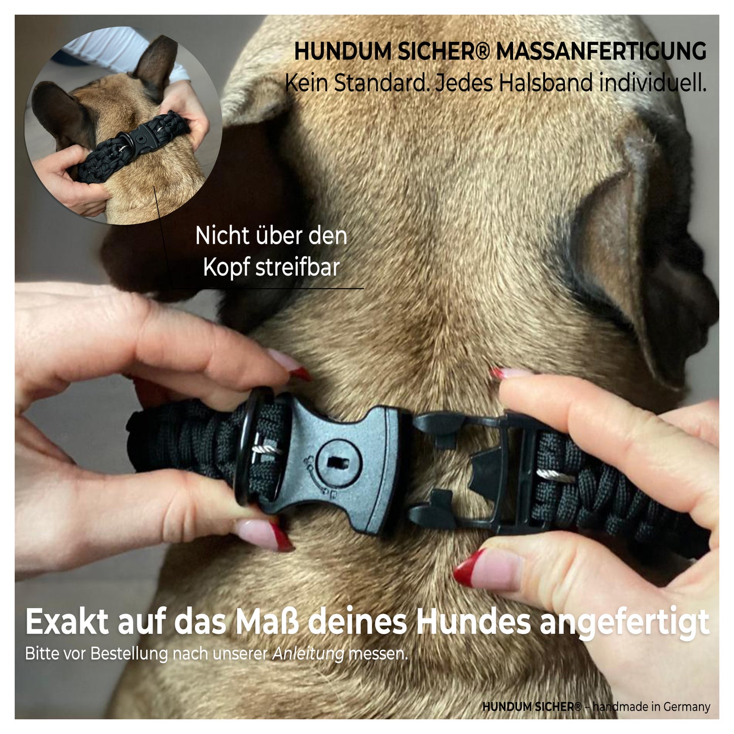 HUNDUM SICHER® Anti-Diebstahl-Halsband - abschließbar & mit Stahlkern - ideal für kleine Hunde