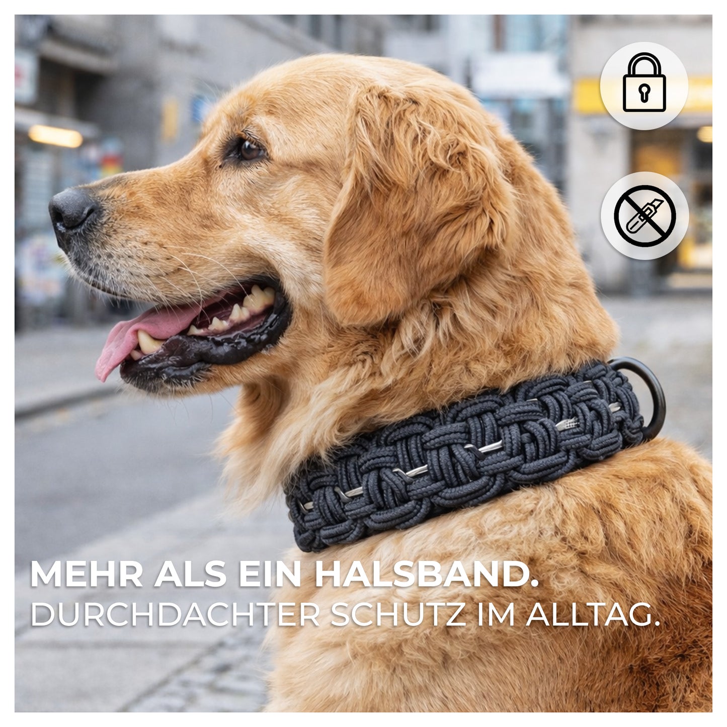HUNDUM SICHER® Anti-Diebstahl-Halsband - abschließbar & mit Stahlkern - ideal für große Hunde