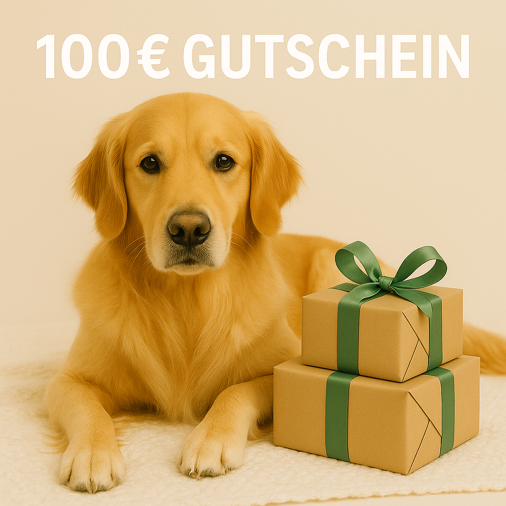100€ GESCHENKGUTSCHEIN