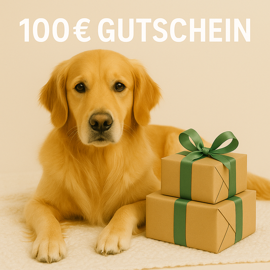 100€ GESCHENKGUTSCHEIN