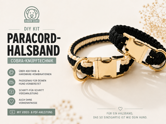 DIY-Kit: Paracord-Hundehalsband - Cobra Knüpftechnik | HUNDUM SICHER