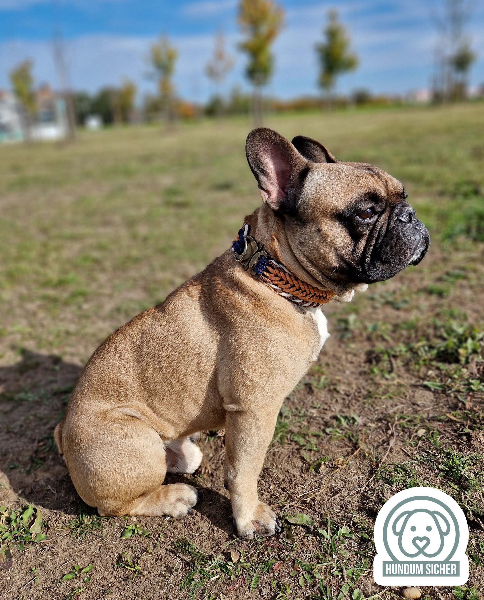 Paracord-Halsband für Hunde [Kupfer, Blau & beige]