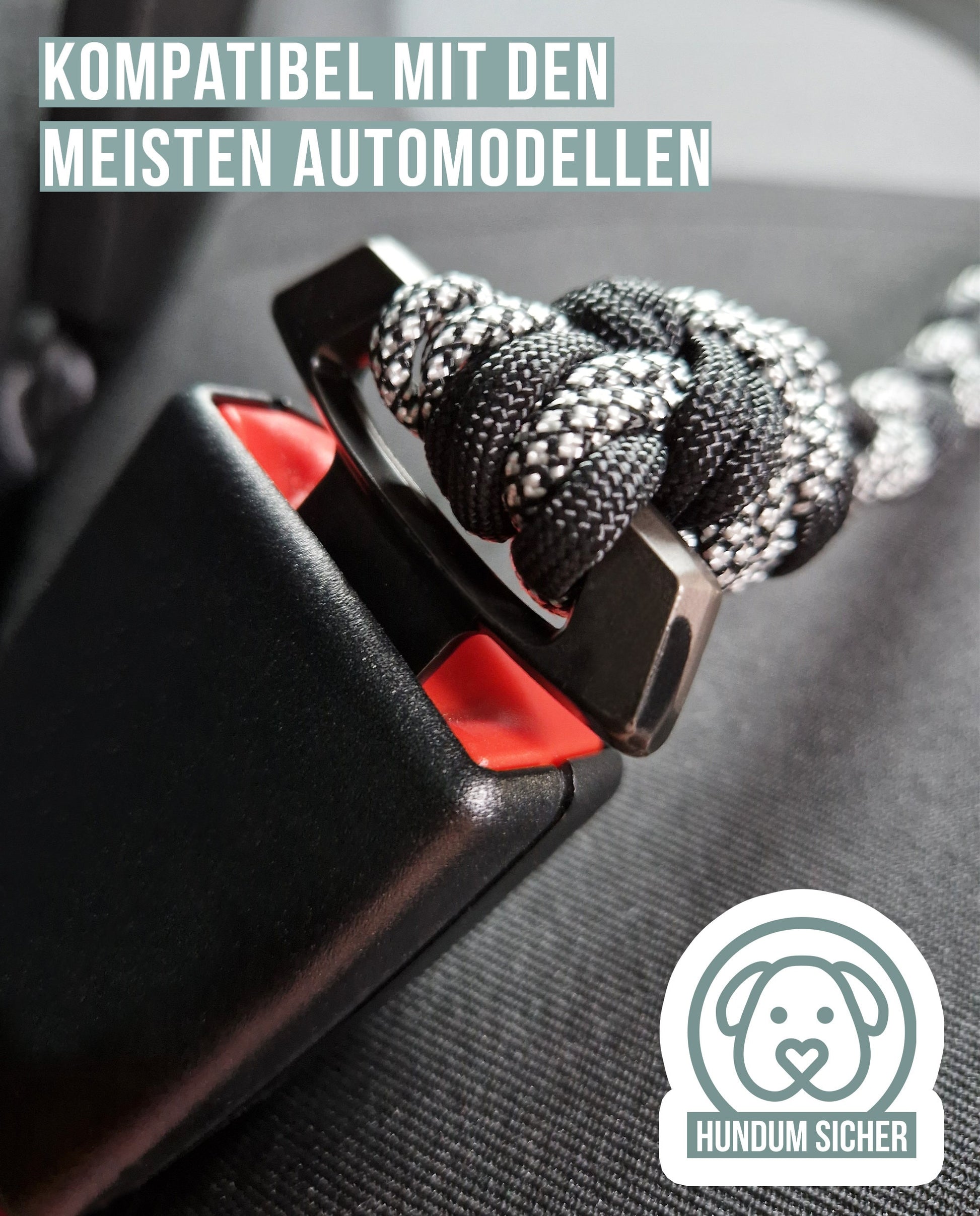 Anschnallgurt Hund Auto 2 In 1 Verhedderungsfreier