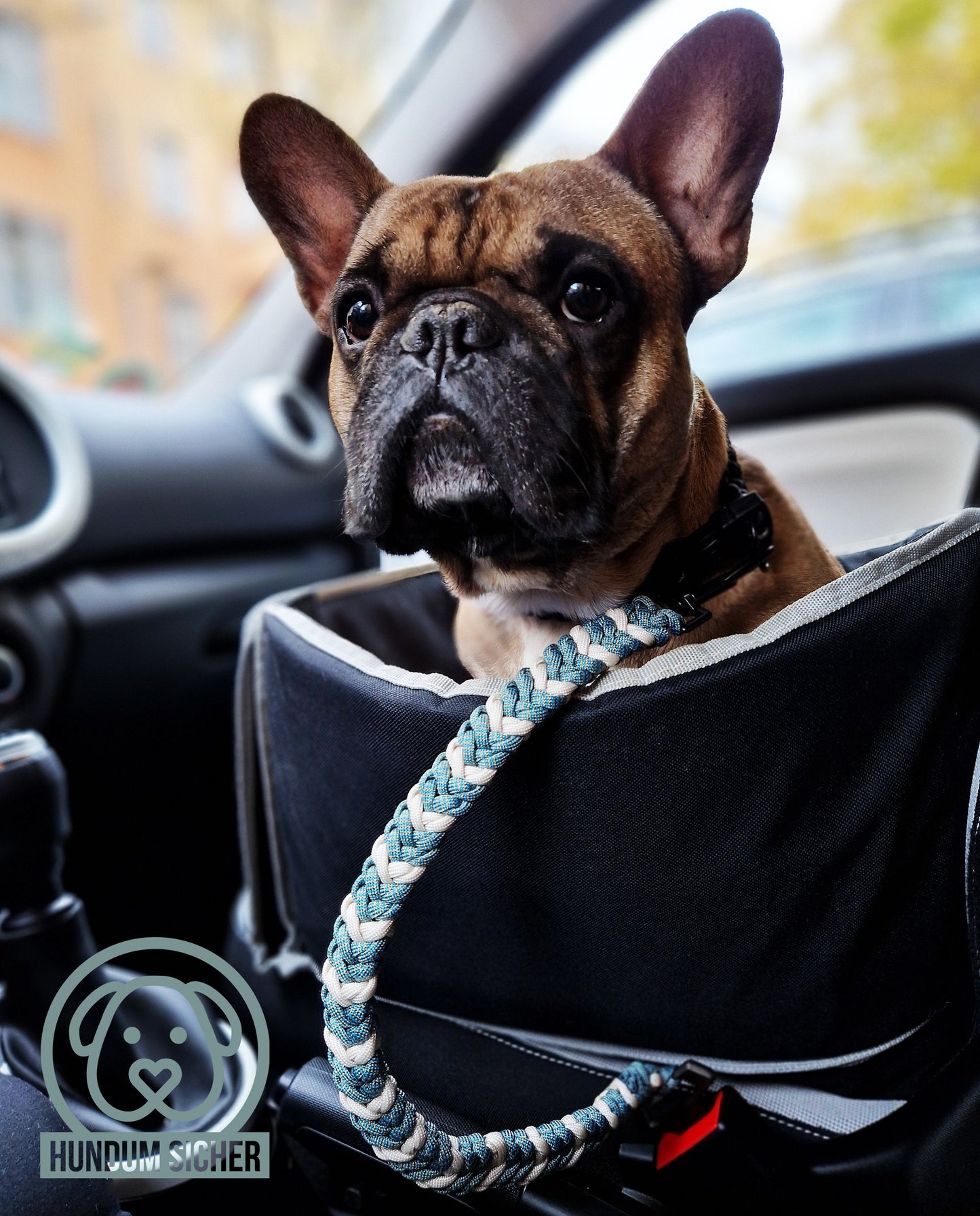 Hunde-Sicherheitsgurt für Transport im Auto [beige & türkis]