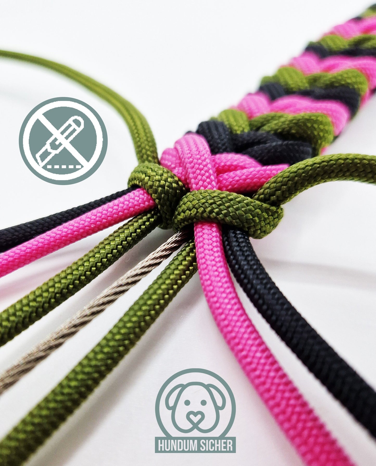 Diebstahlschutz-Hundehalsband - abschließbar mit Schloss [Grün, Pink & Schwarz]