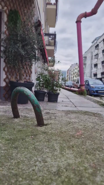 Diebstahlschutz-Hundeleine aus Paracord - abschließbar mit Schloss [schwarz & weiß reflektierend]