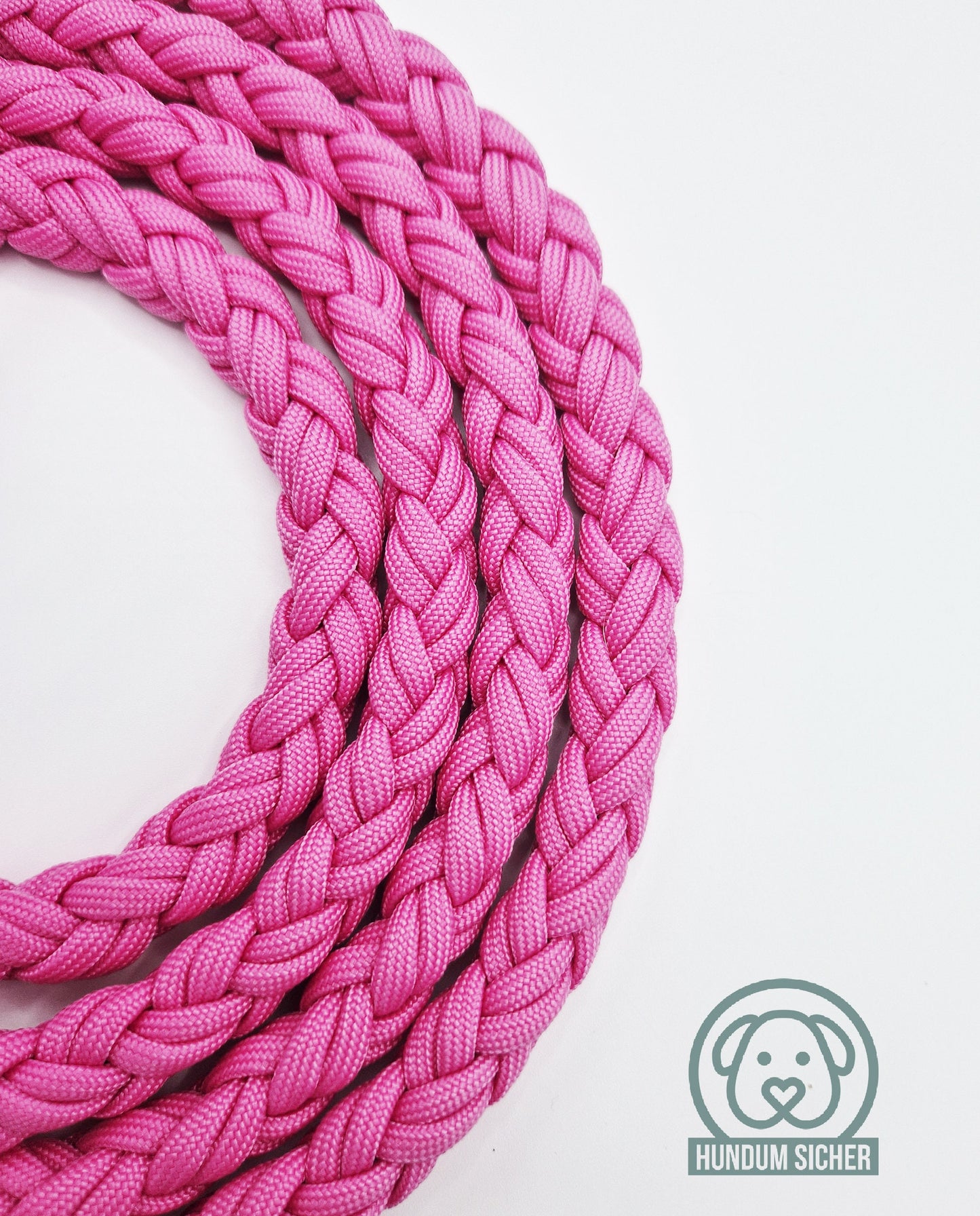 Dog leash with anti-theft protection [Pink]